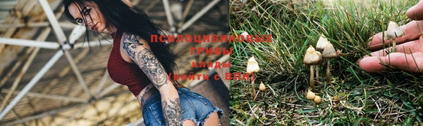 прущие крисы Абинск
