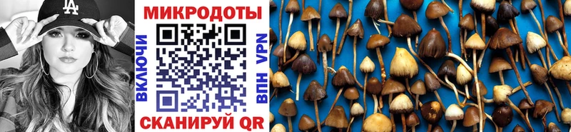 купить   KRAKEN как войти  Галлюциногенные грибы Cubensis  Ак-Довурак 