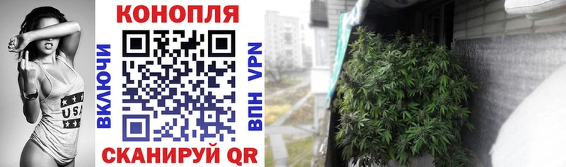 Бошки марихуана сатива  Ак-Довурак 